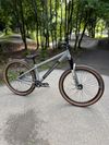 Cannondale Dave Custom