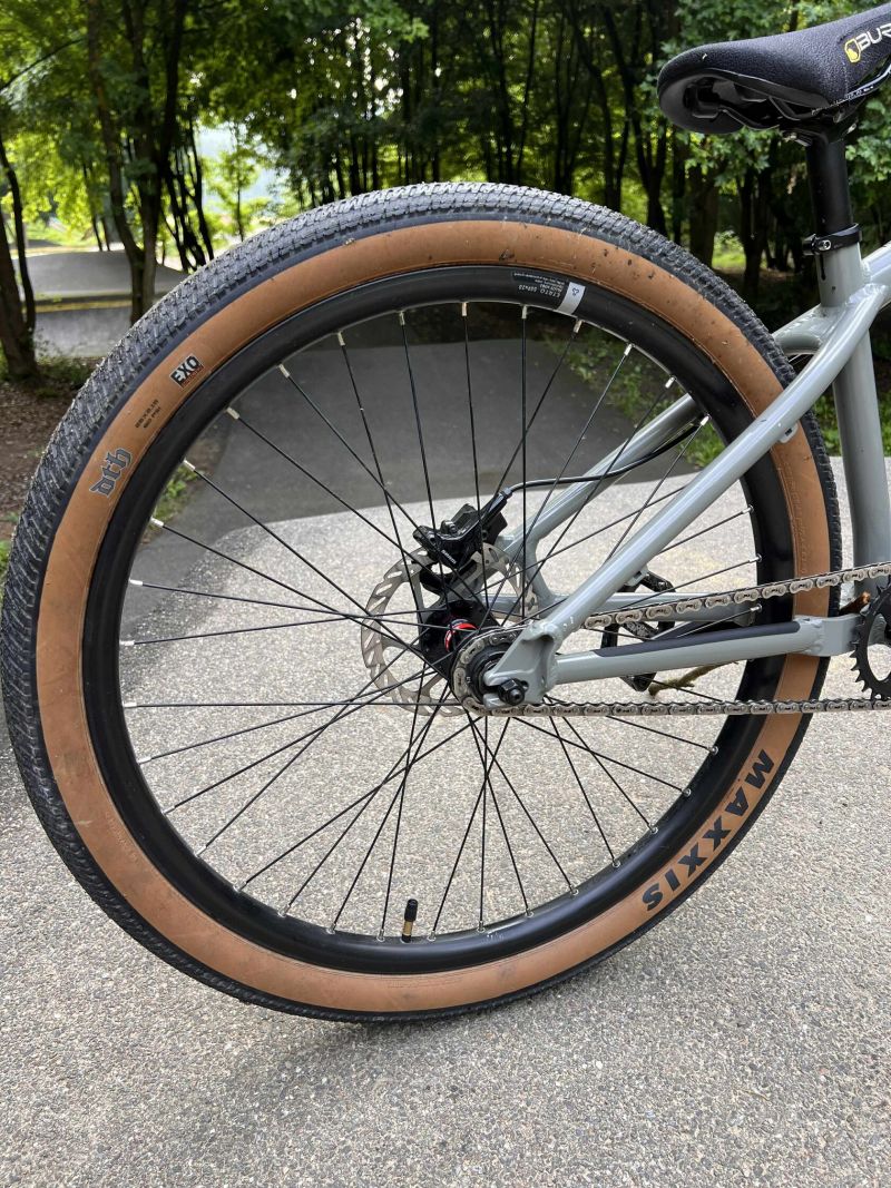 Cannondale Dave Custom