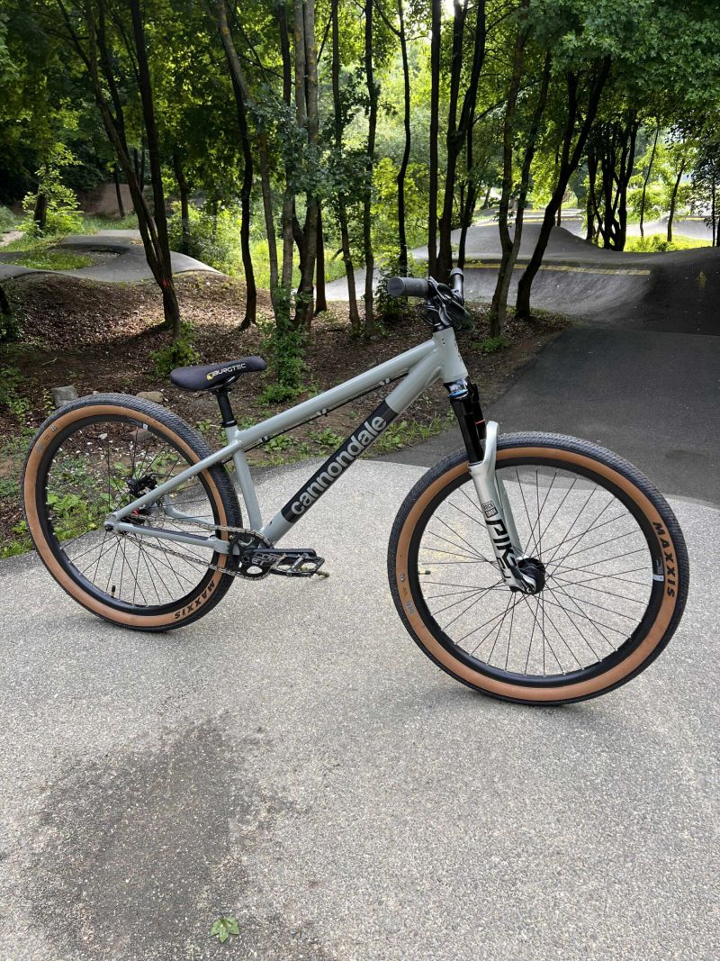 Cannondale Dave Custom