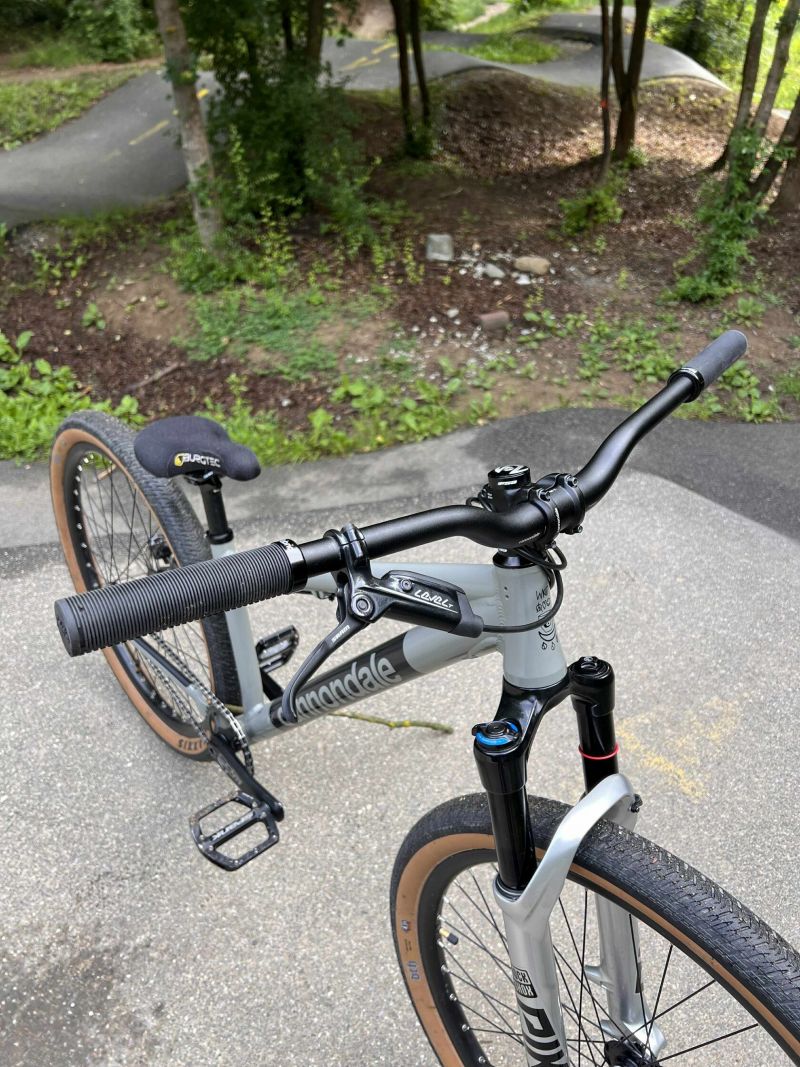 Cannondale Dave Custom
