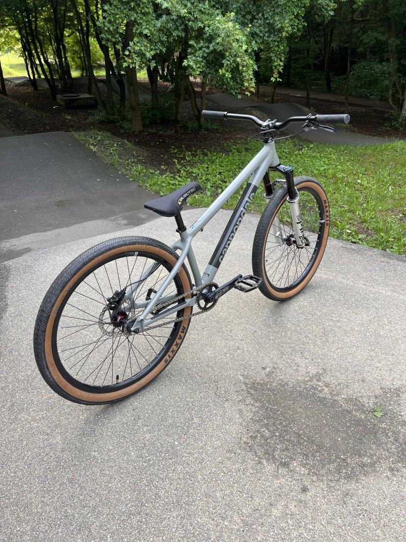 Cannondale Dave Custom