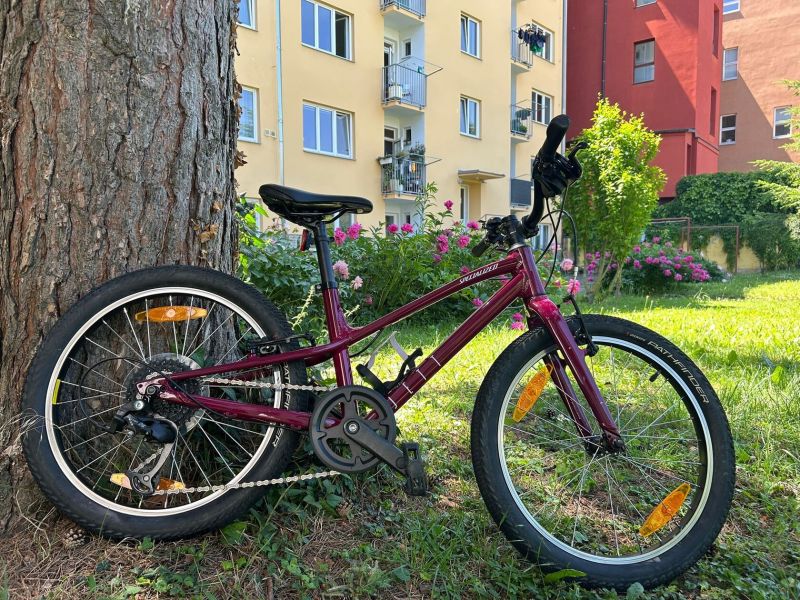 Specialized Jett 20