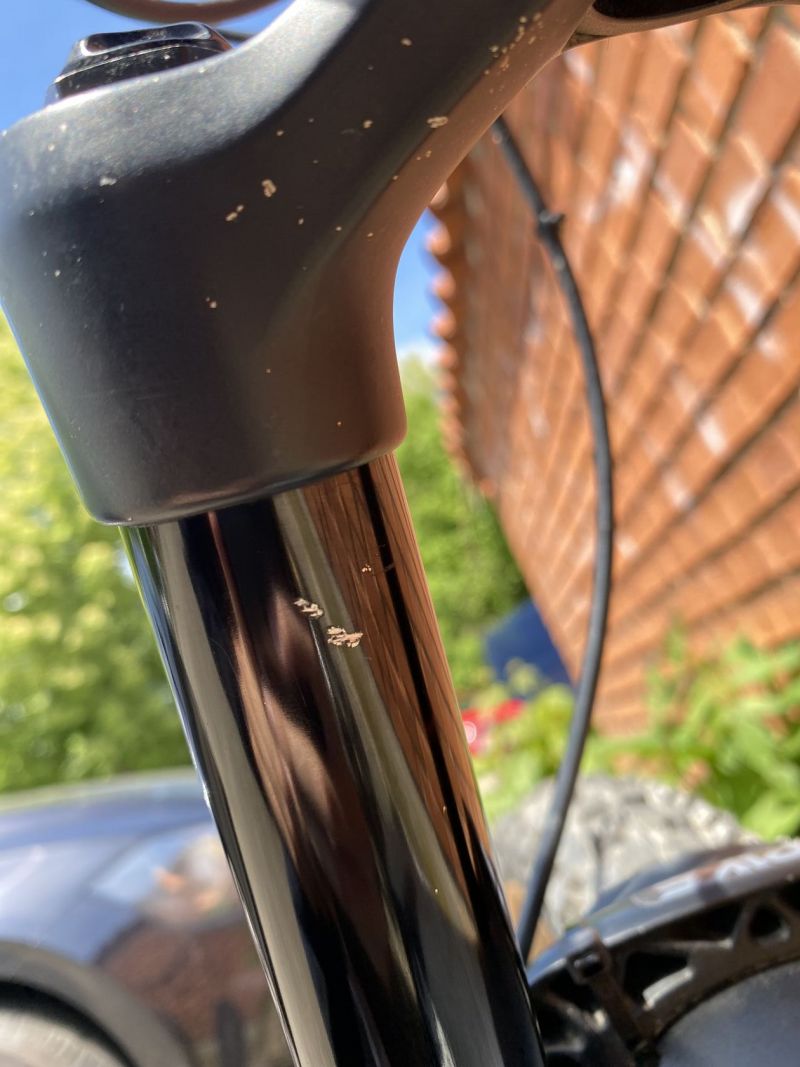 Custom Transition hardtail