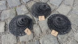 kazety SRAM 12s 11-50 na HG ořech