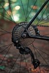 Focus Izalco Race, vel. L