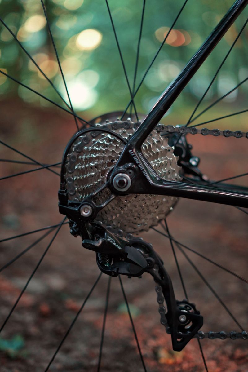 Focus Izalco Race, vel. L
