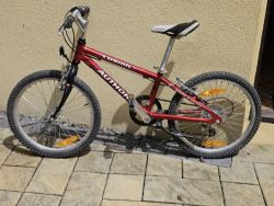Author Cosmic 20"