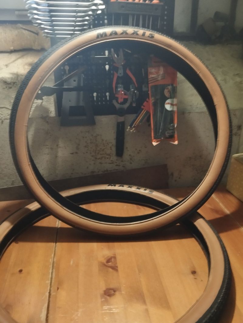 Maxxis dth