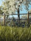 Canyon Spectral CF 2023 