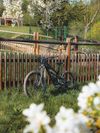 Canyon Spectral CF 2023 