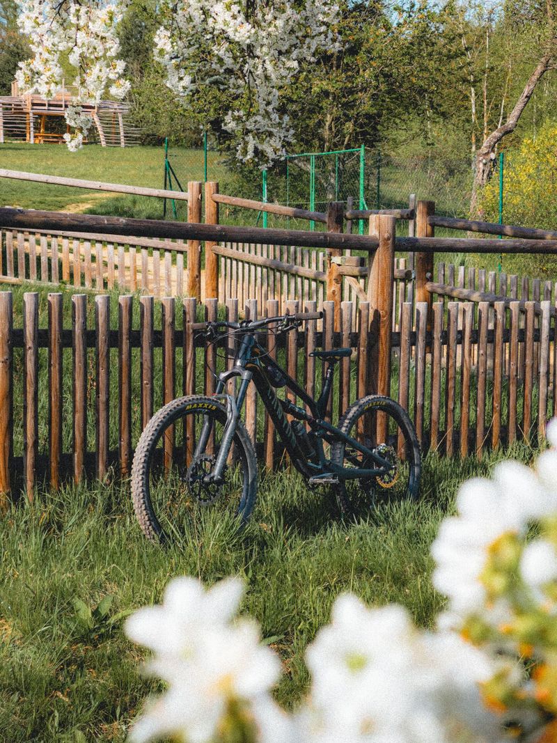 Canyon Spectral CF 2023 