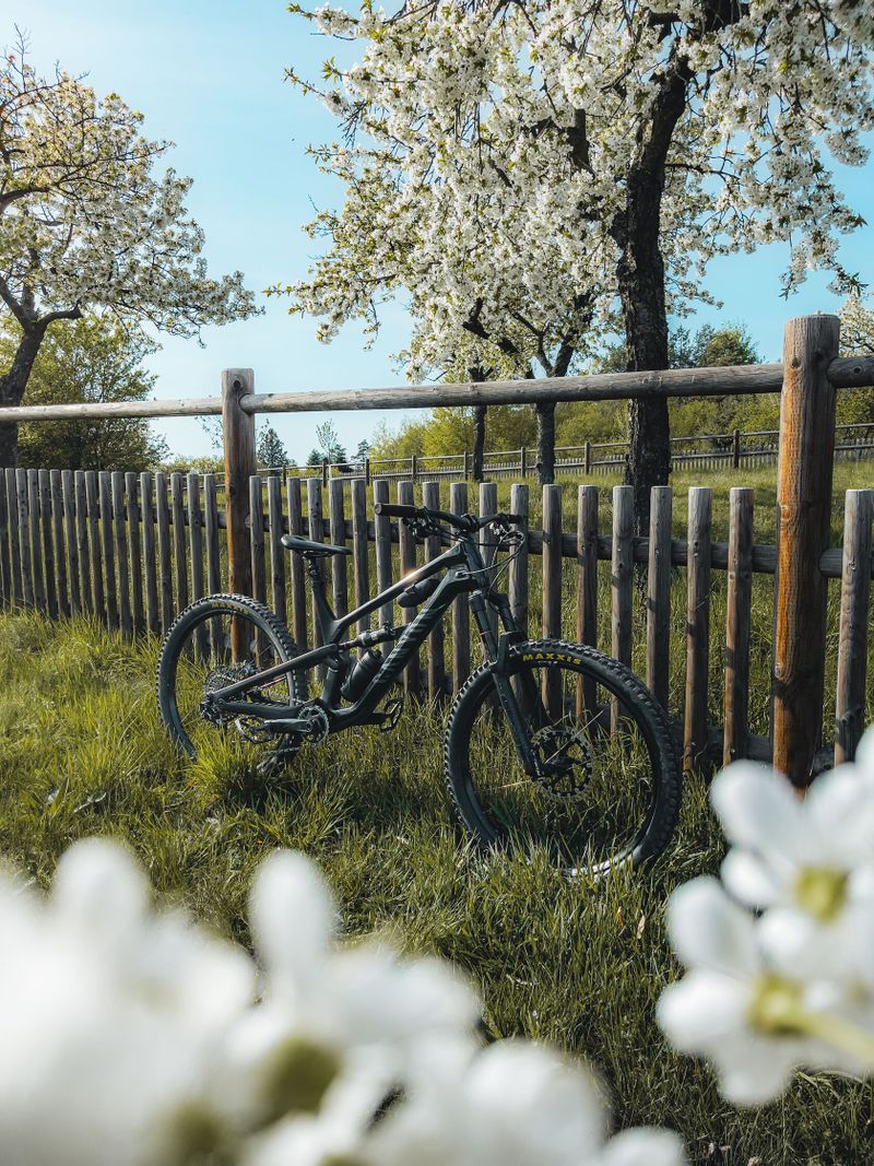 Canyon Spectral CF 2023 