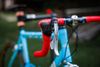 Cinelli Proxima XL, Campagnolo Veloce 9s, Mavic Xsyrium Elite