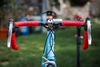 Cinelli Proxima XL, Campagnolo Veloce 9s, Mavic Xsyrium Elite