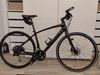 Specialized Vita Sport Carbon 