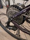 Specialized Vita Sport Carbon 