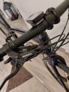 Specialized Vita Sport Carbon 