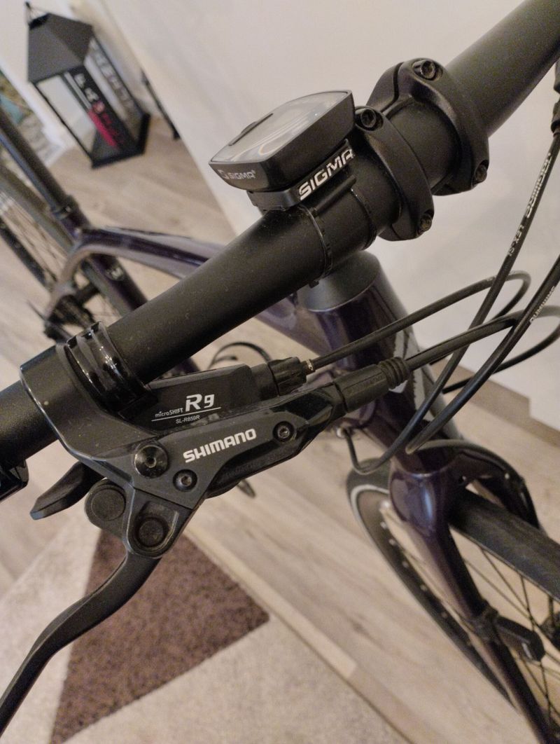 Specialized Vita Sport Carbon 