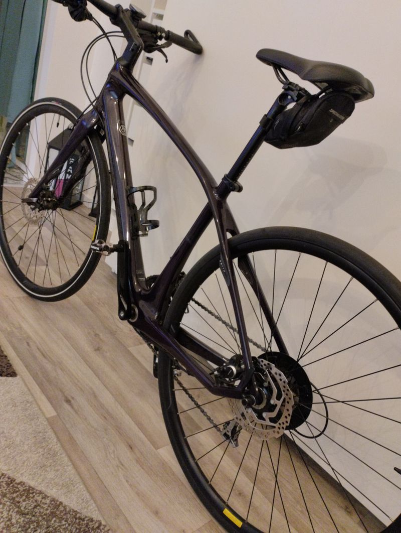 Specialized Vita Sport Carbon 
