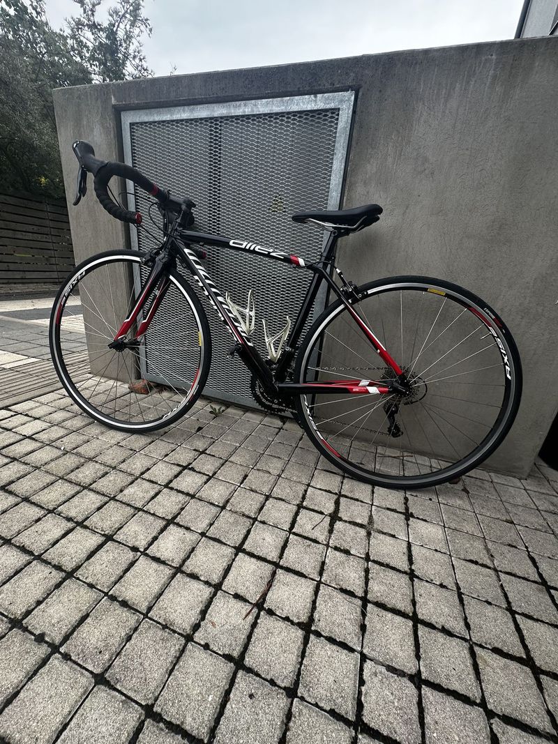 Specialized Allez 