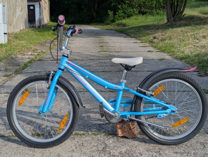 Dětské kolo Specialized Hotrock 20