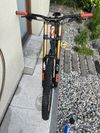 Scott Gambler 710 2019