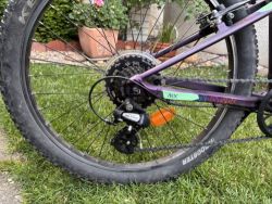 Orbea MX 24”