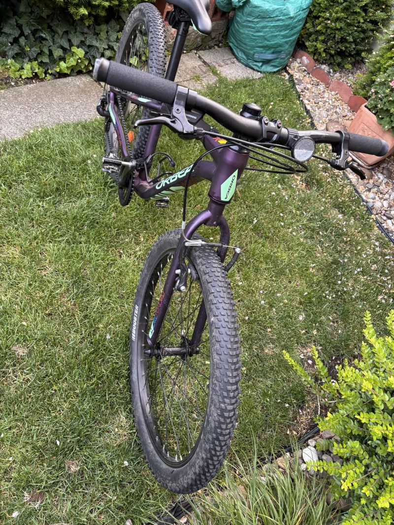Orbea MX 24”