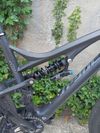 MTB Spyder