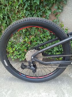 MTB Spyder