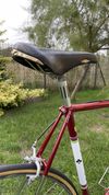 Colnago Super Profile