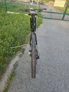 ORBEA OIZ M30 Chameleon