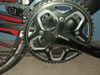 Focus Cayo xl