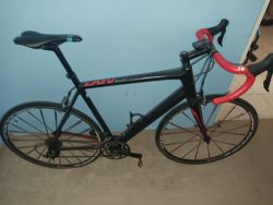 Focus Cayo xl