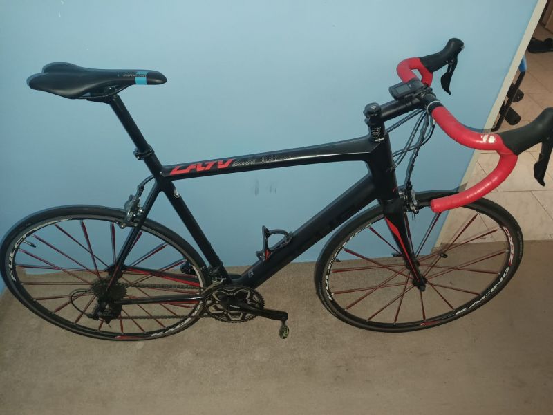 Focus Cayo xl