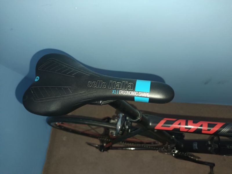 Focus Cayo xl