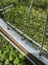 Cinelli Supercorsa Donna