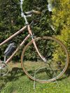 Cinelli Supercorsa Donna