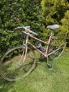 Cinelli Supercorsa Donna
