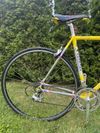 Colnago Tecnos Art Decor