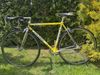 Colnago Tecnos Art Decor