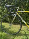 Colnago Tecnos Art Decor