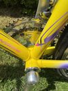 Colnago Tecnos Art Decor