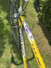 Colnago Tecnos Art Decor