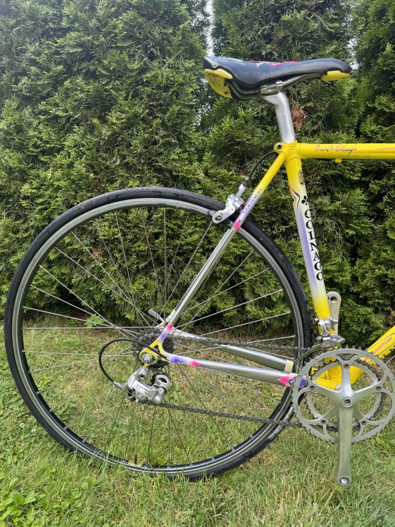 Colnago Tecnos Art Decor