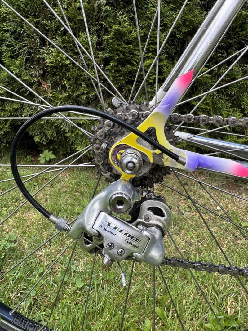 Colnago Tecnos Art Decor