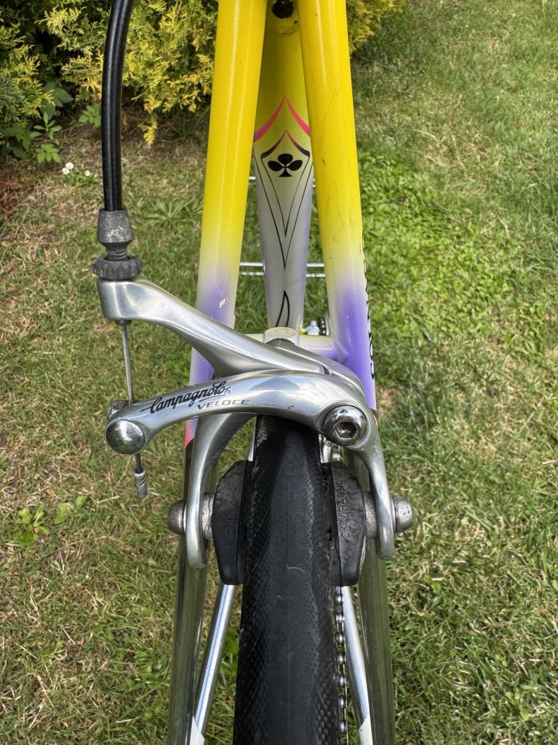 Colnago Tecnos Art Decor