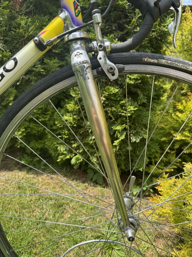 Colnago Tecnos Art Decor