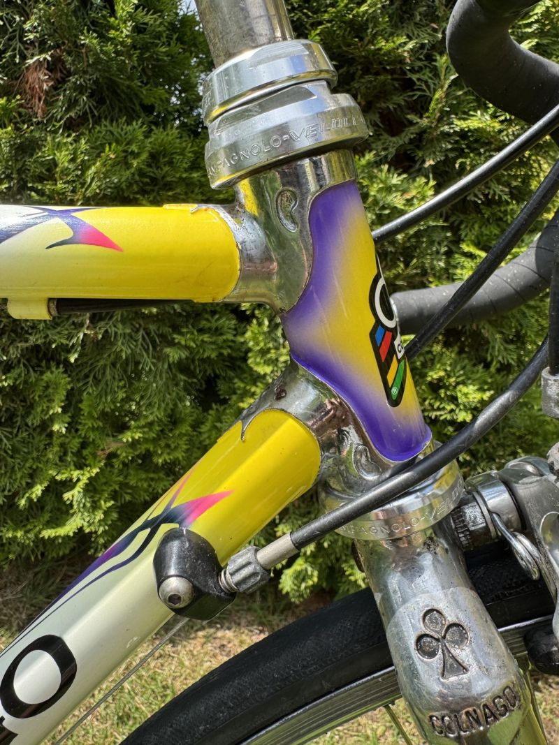 Colnago Tecnos Art Decor