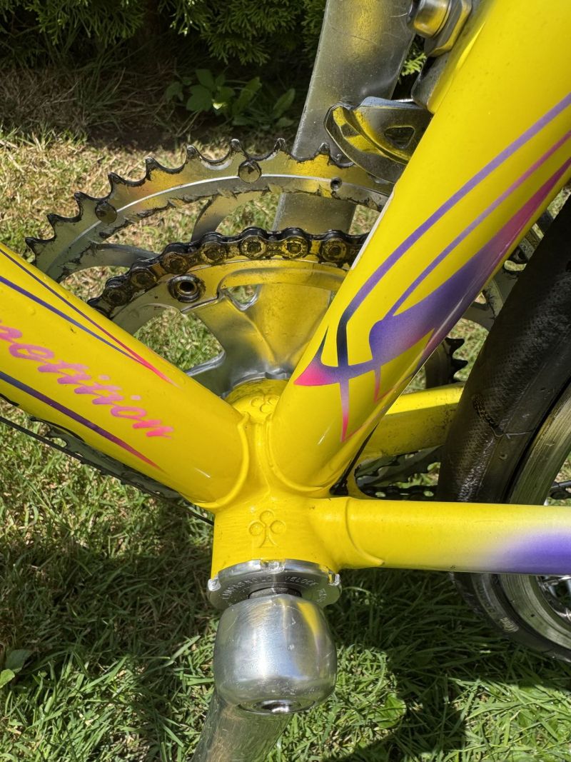 Colnago Tecnos Art Decor
